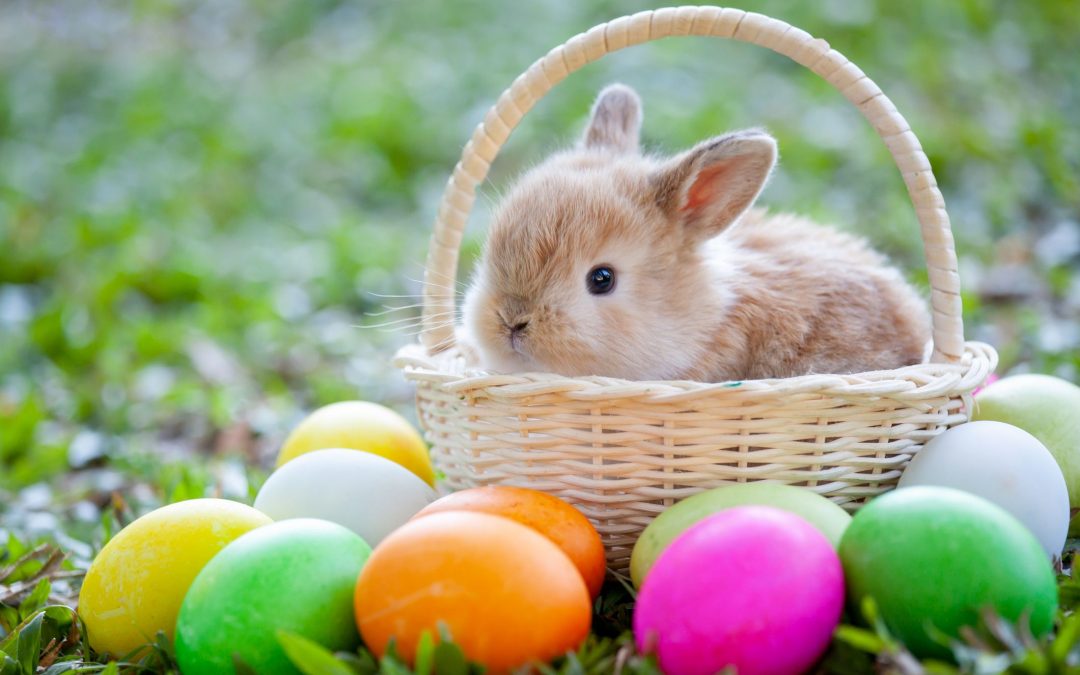 Easter bunny
